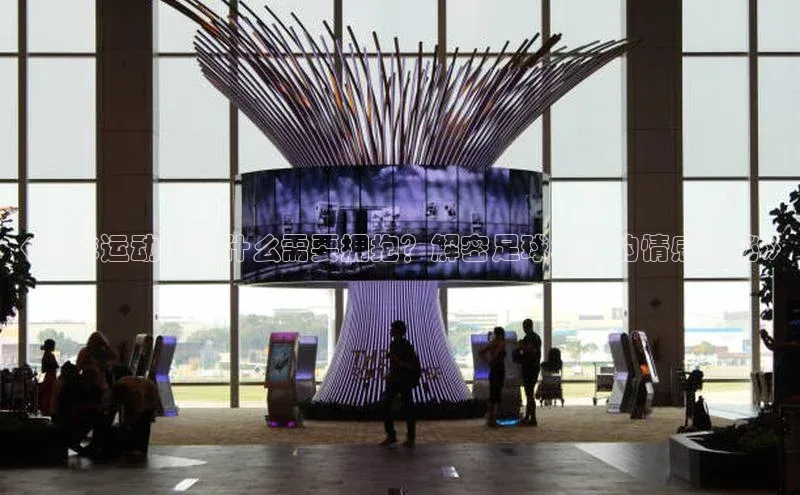 杏盛注册流程和入口百度众测《足球运动员为什么需要拥抱？解密足球场上的情感奥秘》