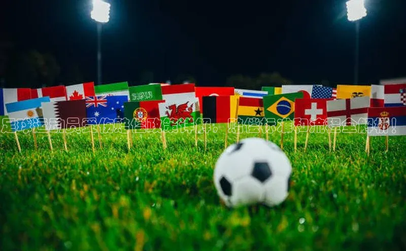 杏盛平台总代理极氪智能科技足球运动员受伤赔偿政策详解，赔偿标准和流程全解析！