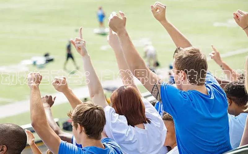 杏盛平台总代理赛富乐斯动物运动会：自然界的竞技与和谐
