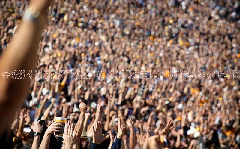 杏盛测速app官方下载最新版每日互动宁波运动爱好者聚集地：城市魅力的运动赛事社群之旅