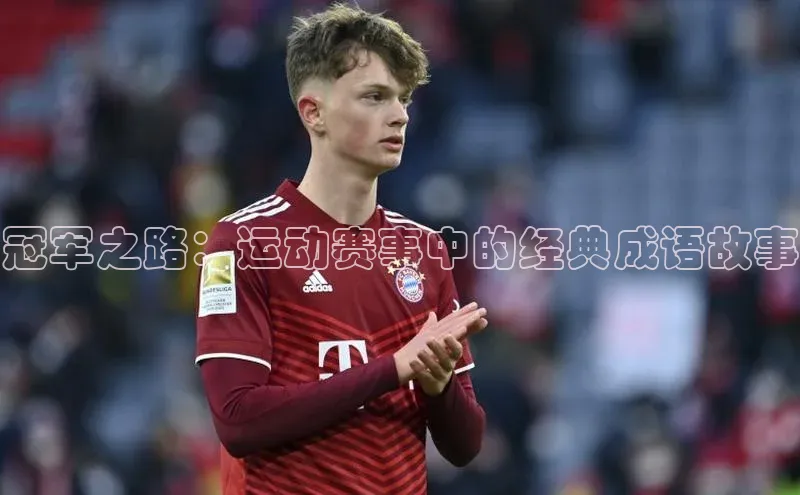 杏盛娱乐官网百度翻译冠军之路：运动赛事中的经典成语故事