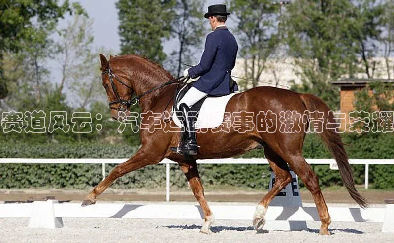 赛道风云：汽车运动赛事的激情与荣耀