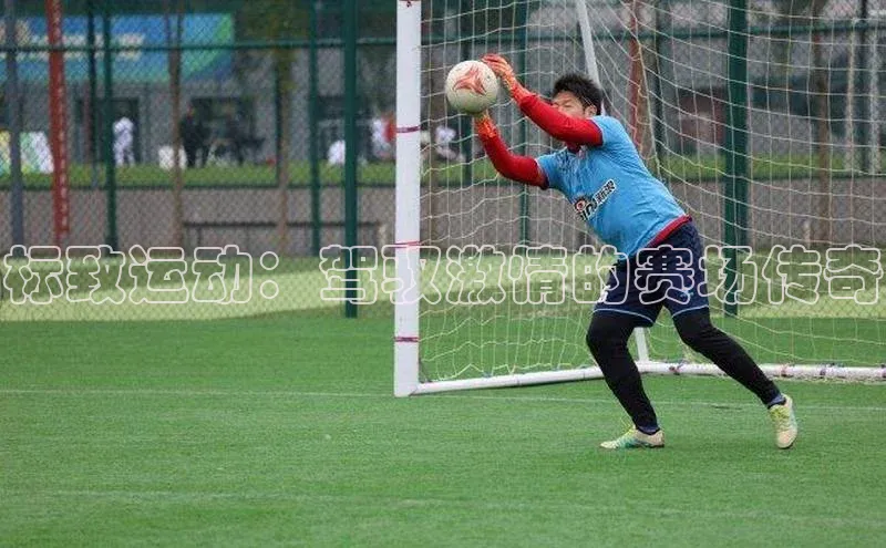 标致运动：驾驭激情的赛场传奇