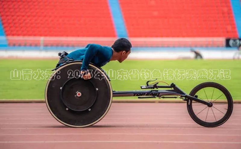 山青水秀：2023年山东省钓鱼锦标赛盛况记