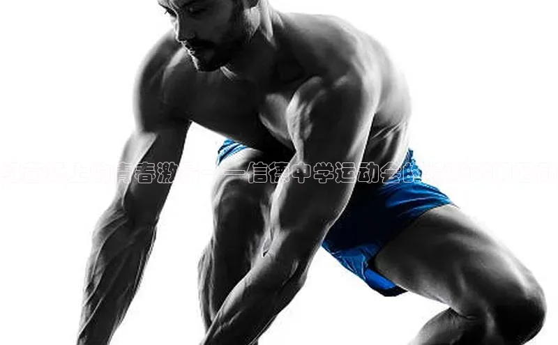 绿茵场上的青春激昂——信德中学运动会的精彩瞬间回顾