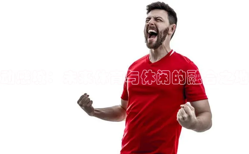 动感城：未来体育与休闲的融合之地