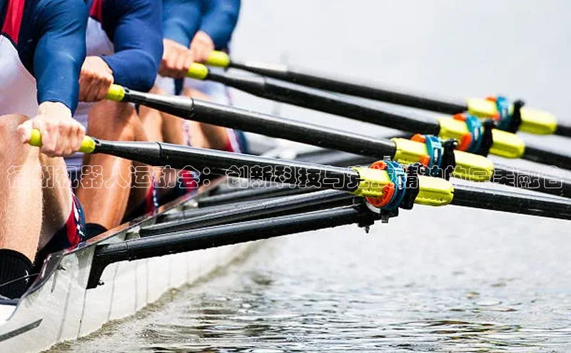 德州机器人运动会：创新科技与竞技精神的完美融合