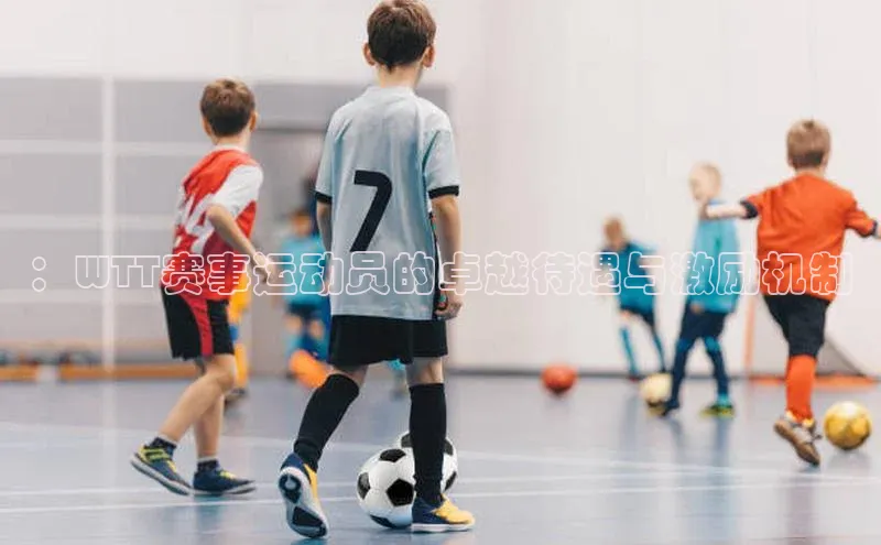 ：WTT赛事运动员的卓越待遇与激励机制