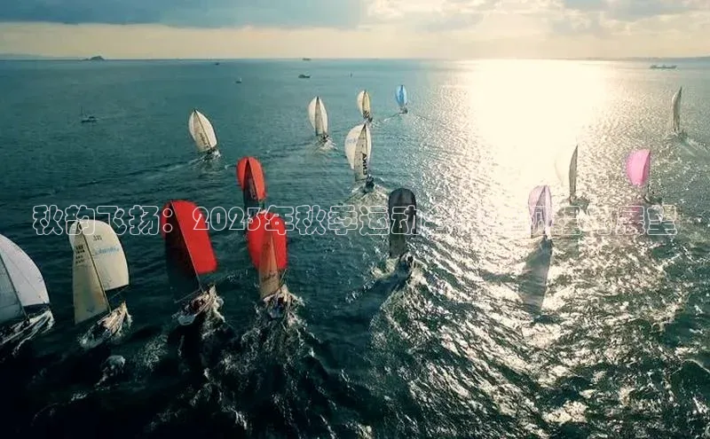 秋韵飞扬：2023年秋季运动会赛事规程与展望