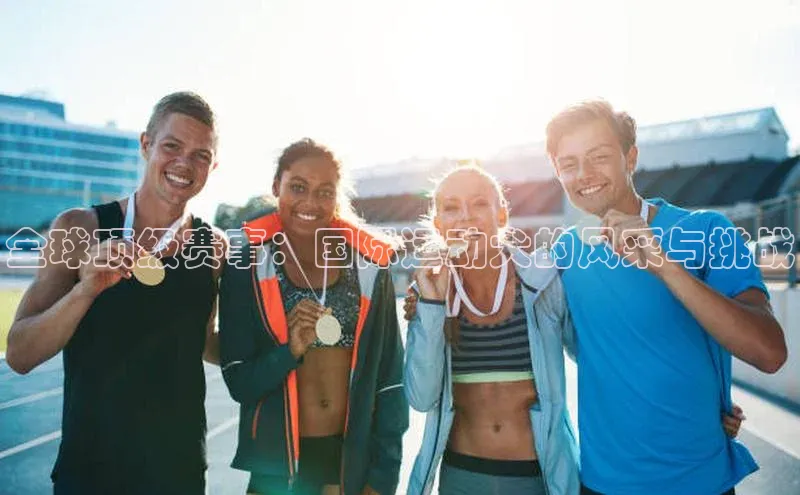 全球顶级赛事：国际运动犬的风采与挑战