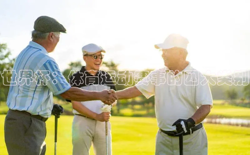 世界杯：体育运动赛事的四大类别