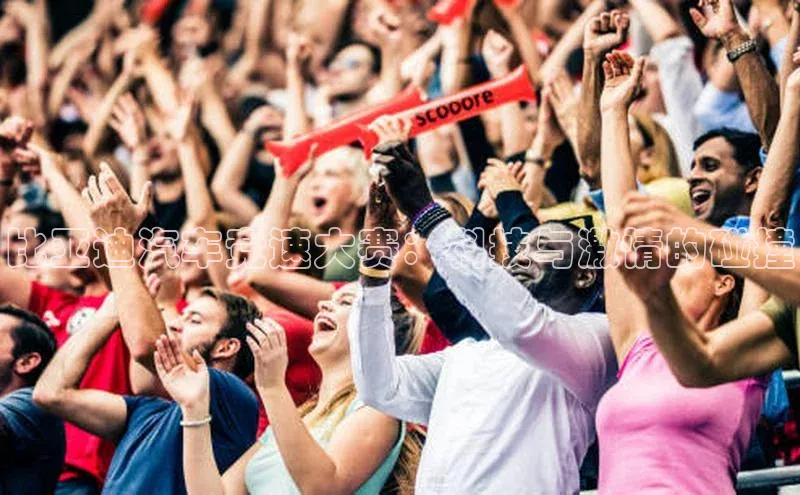 比亚迪汽车竞速大赛：科技与激情的碰撞