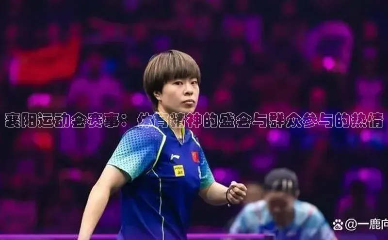 襄阳运动会赛事：体育精神的盛会与群众参与的热情