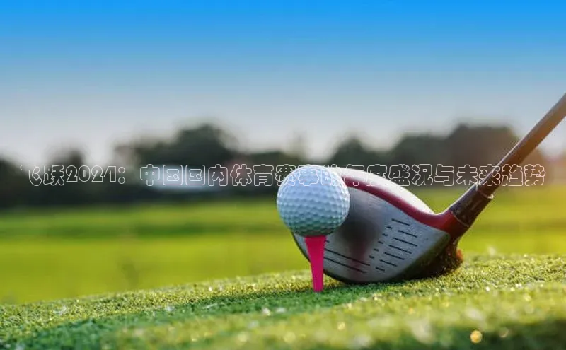 飞跃2024：中国国内体育赛事的年度盛况与未来趋势