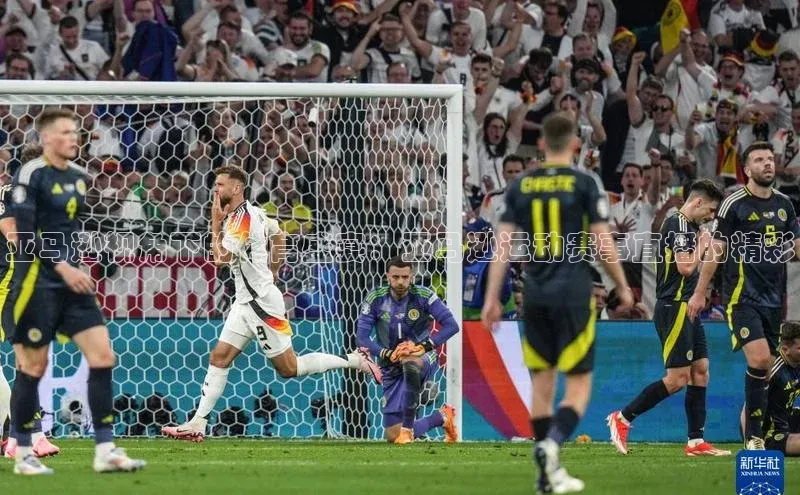 杏盛测速app官方下载最新版