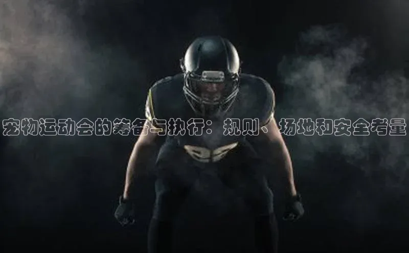 杏盛测速app官方下载最新版