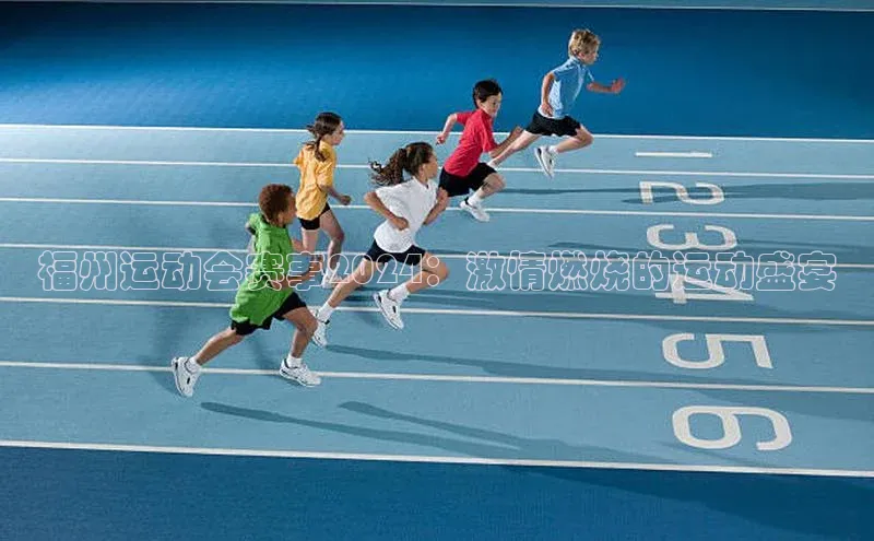 福州运动会赛事2024：激情燃烧的运动盛宴