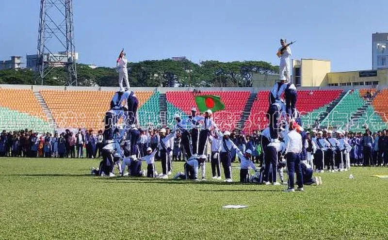 巅峰对决：顶级职业运动赛事中的策略与竞争